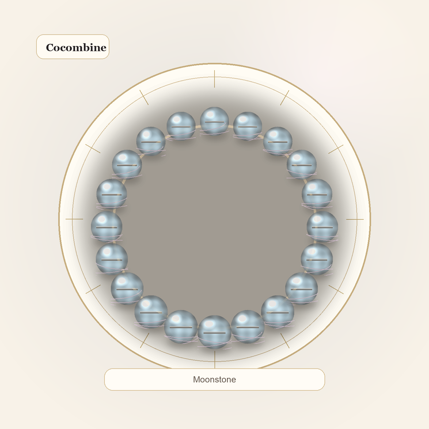 Moonstone Classic Bracelet by Cocombine