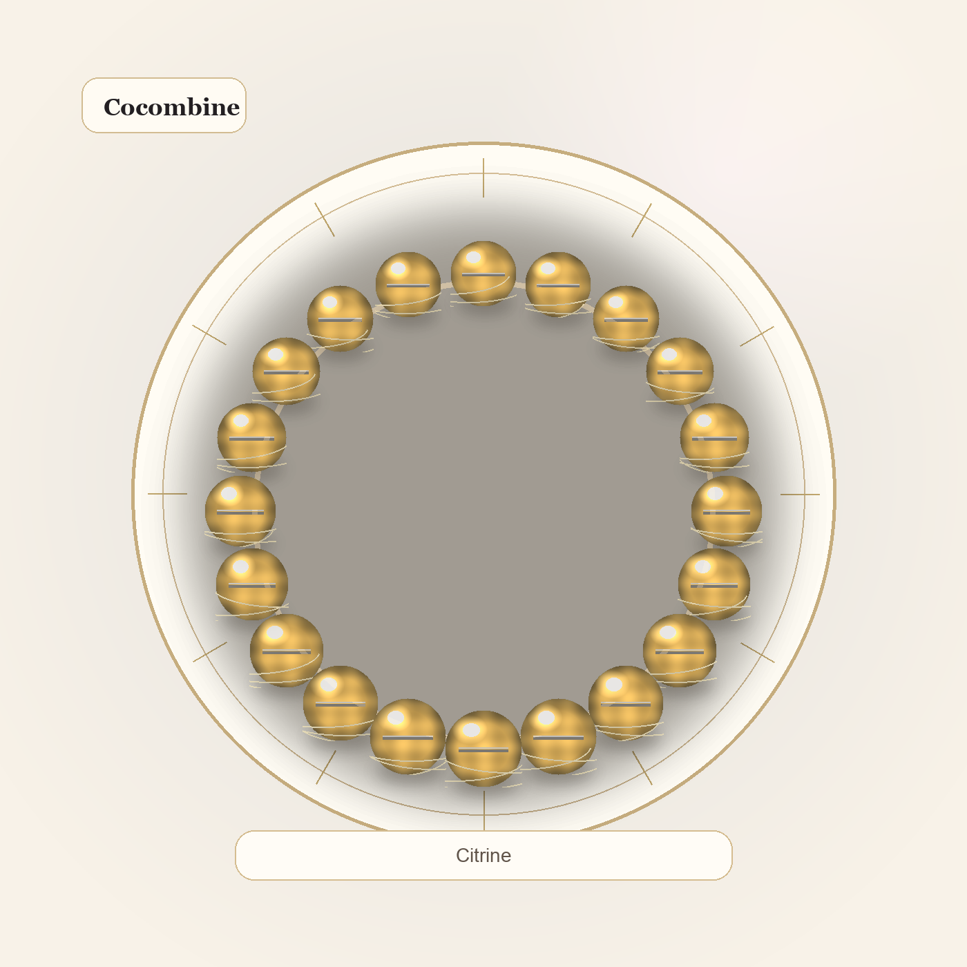 Citrine Classic Bracelet by Cocombine